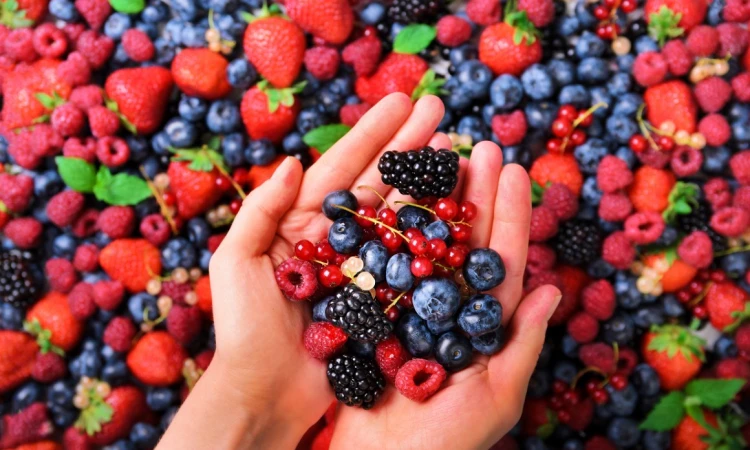 Moc owoców jagodowych – klucz do długowieczności i ostrości umysłu - zdjęcie
