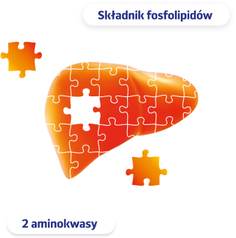 Składnik fosfolipidów