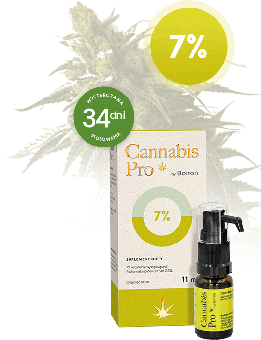 Cannabis Pro opakowanie i produkt