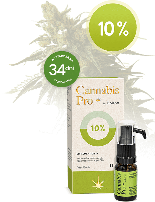 Cannabis Pro opakowanie i produkt