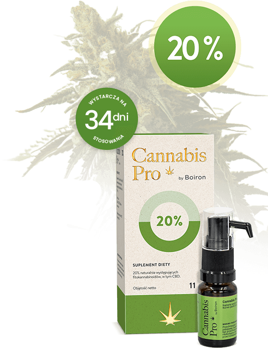 Cannabis Pro opakowanie i produkt